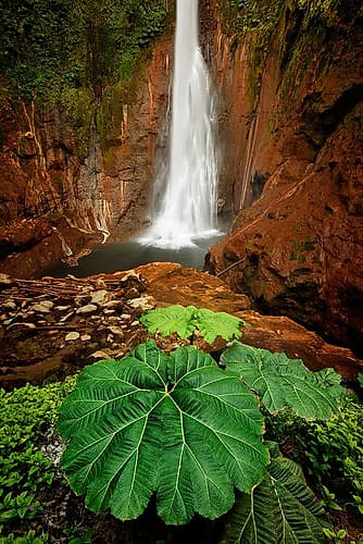 Catarata Del Toro Waterfall-in the mountains of Bajos del Toro Amarillo-Sarchi-Costa Rica Art Print